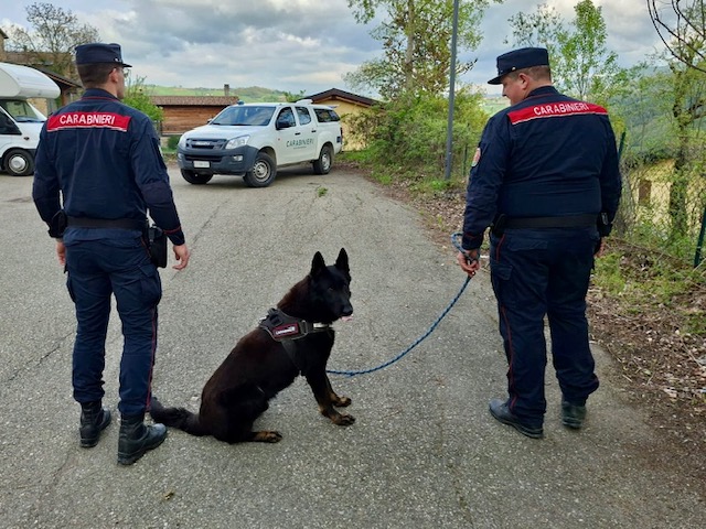 BOCCONI AL VELENO A VILLA MINOZZO, IN AZIONE IL CANE FREDDY