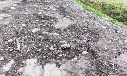 MASSENZATICO, I RESIDENTI: VIA RONCHI E’ PERICOLOSA