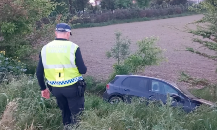 RAFFICA DI INCIDENTI NELLA BASSA