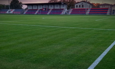 CALCIO VIOLENTO, BOTTE IN CAMPO: 8 GIORNATE DI SQUALIFICA PER 2 UNDER 16 DEL LUZZARA