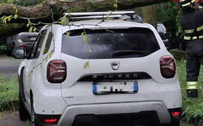 PARCHEGGIO DI VIA MELATO, GROSSA PIANTA CROLLA SU UN’AUTO IN SOSTA