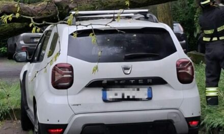 PARCHEGGIO DI VIA MELATO, GROSSA PIANTA CROLLA SU UN’AUTO IN SOSTA