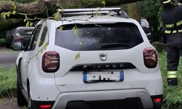 PARCHEGGIO DI VIA MELATO, GROSSA PIANTA CROLLA SU UN’AUTO IN SOSTA
