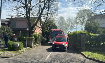 NOVELLARA. FIAMME IN UN’ABITAZIONE: PADRE E FIGLIO IN SALVO