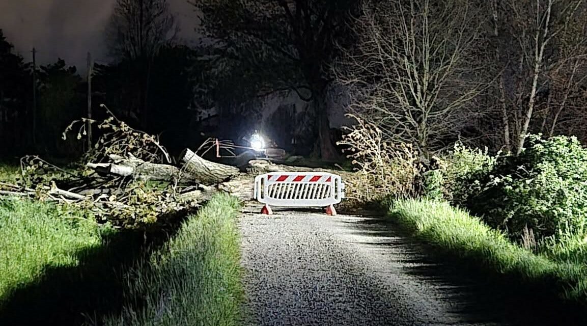 CAMPEGINE. PER RIMUOVERE UN ALBERO CADUTO, VIGILE DEL FUOCO SI FERISCE CON LA MOTOSEGA