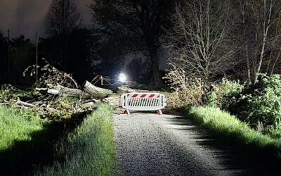 CAMPEGINE. ALBERO CADUTO, VIGILE DEL FUOCO SI FERISCE CON LA MOTOSEGA