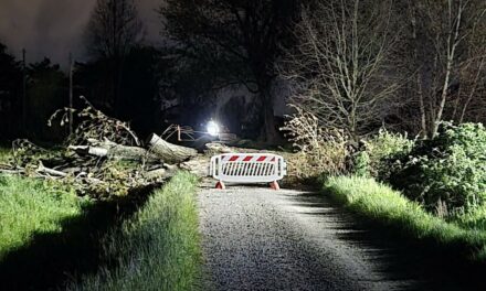 CAMPEGINE. PER RIMUOVERE UN ALBERO CADUTO, VIGILE DEL FUOCO SI FERISCE CON LA MOTOSEGA