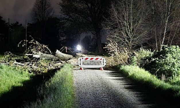 CAMPEGINE. ALBERO CADUTO, VIGILE DEL FUOCO SI FERISCE CON LA MOTOSEGA