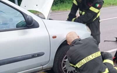 REGGIO. GATTO INCASTRATO NEL MOTORE, LO SALVANO I VIGILI DEL FUOCO