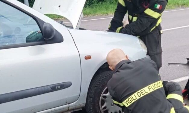 REGGIO. GATTO INCASTRATO NEL MOTORE, LO SALVANO I VIGILI DEL FUOCO