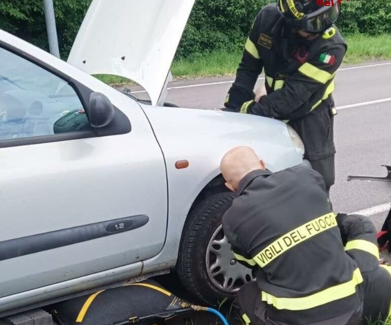 REGGIO. GATTO INCASTRATO NEL MOTORE, LO SALVANO I VIGILI DEL FUOCO