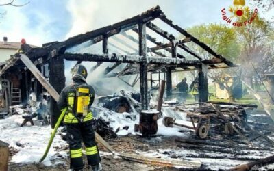 REGGIO. DIVAMPA INCENDIO IN UNA LEGNAIA, MORTO UN CANE