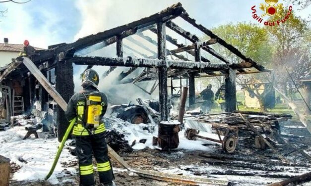 REGGIO. DIVAMPA INCENDIO IN UNA LEGNAIA, MORTO UN CANE