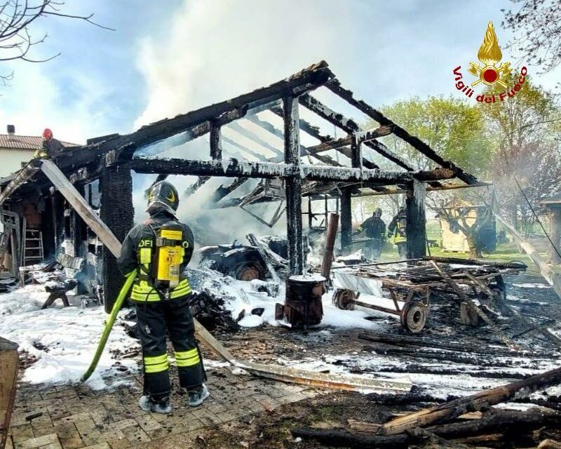 REGGIO. DIVAMPA INCENDIO IN UNA LEGNAIA, MORTO UN CANE