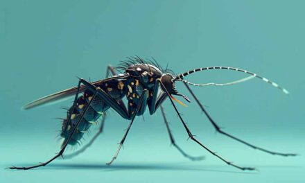 UN CASO DI DENGUE A REGGIO
