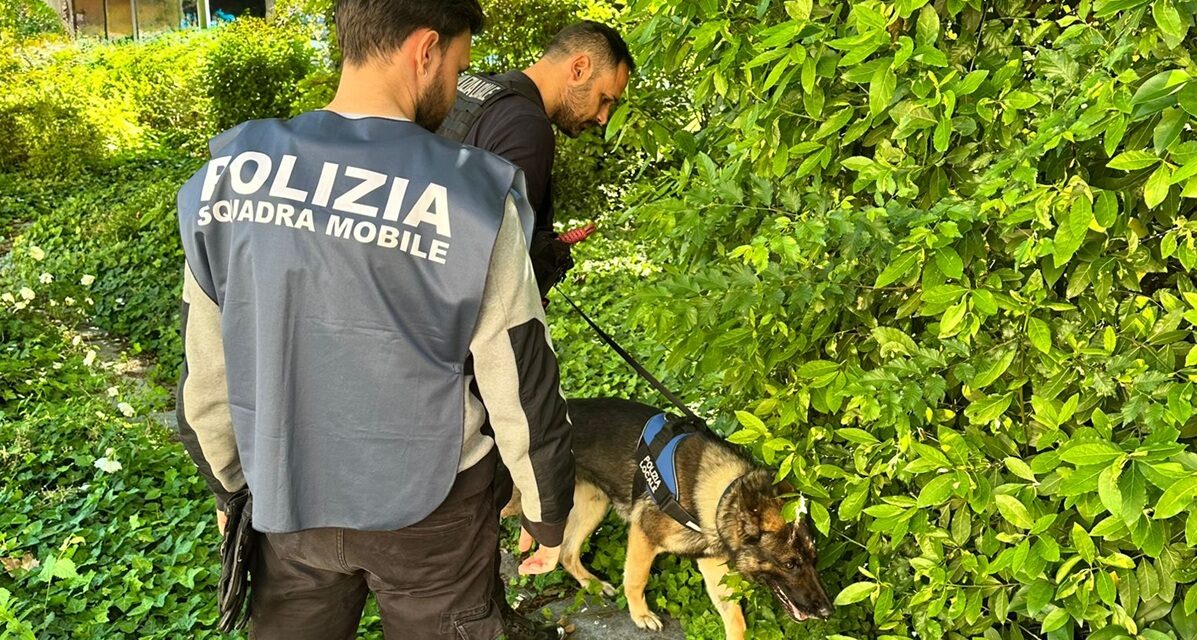 CORREGGIO, SCOPERTA IN UN CASOLARE UNA BASE PER LO SPACCIO  