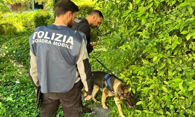 CORREGGIO, SCOPERTA IN UN CASOLARE UNA BASE PER LO SPACCIO  