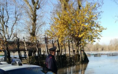 PRINCIPI D’INCENDIO AL LIDO PO, INDAGINI IN CORSO