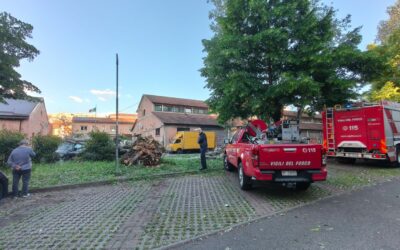 VENTO FORTE, ALBERI E RAMI PRECIPITATI IN CITTA’ E IN PROVINCIA