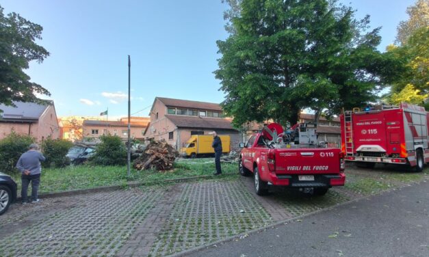 VENTO FORTE, ALBERI E RAMI PRECIPITATI IN CITTA’ E IN PROVINCIA