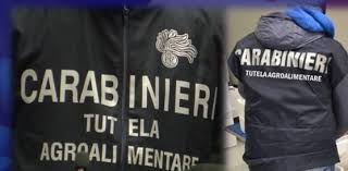 CEREALI E LEGUMI TRA TOPI E ESCREMENTI, MAXI SEQUESTRO A REGGIOLO 