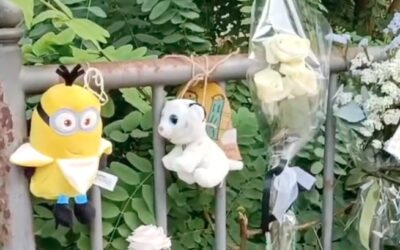 FIORI E PELUCHE PER JOELE. CORDOGLIO A REGGIO PER IL BIMBO MORTO IN UN INCIDENTE