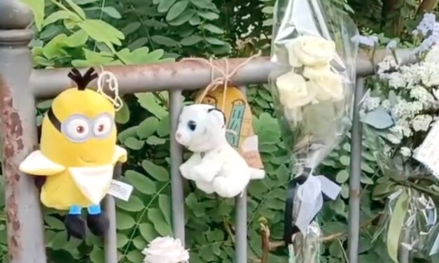 FIORI E PELUCHE PER JOELE. CORDOGLIO A REGGIO PER IL BIMBO MORTO IN UN INCIDENTE