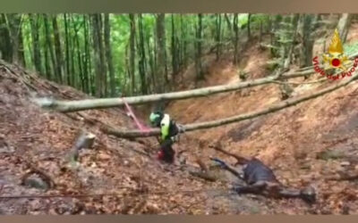 LIGONCHIO,  RECUPERATO IL CAVALLO NEL DIRUPO