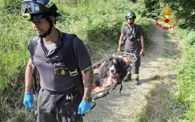 VIGILI DEL FUOCO AL LAVORO TRA INCENDI E SALVATAGGI