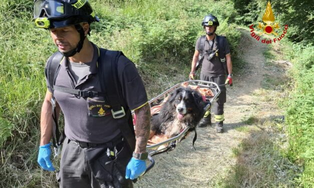 VIGILI DEL FUOCO AL LAVORO TRA INCENDI E SALVATAGGI
