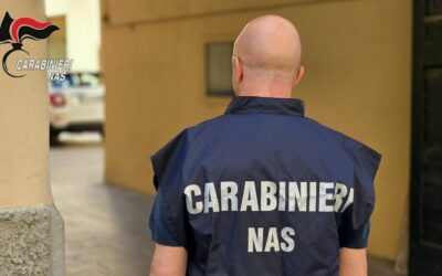 RISCHIO PESTE SUINA, BLITZ DEI NAS NEGLI ALLEVAMENTI, SEQUESTRATI SUINI NON TRACCIATI