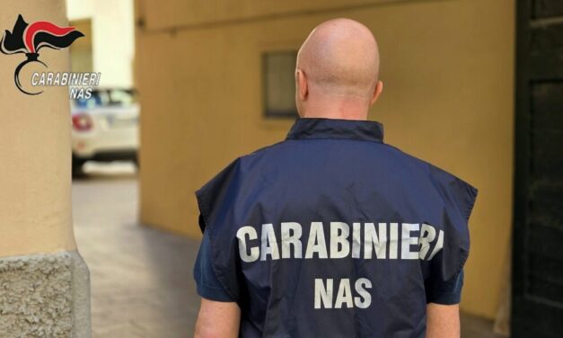 RISCHIO PESTE SUINA, BLITZ DEI NAS NEGLI ALLEVAMENTI, SEQUESTRATI SUINI NON TRACCIATI