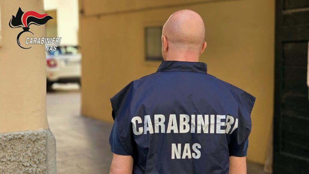 RISCHIO PESTE SUINA, BLITZ DEI NAS NEGLI ALLEVAMENTI, SEQUESTRATI SUINI NON TRACCIATI