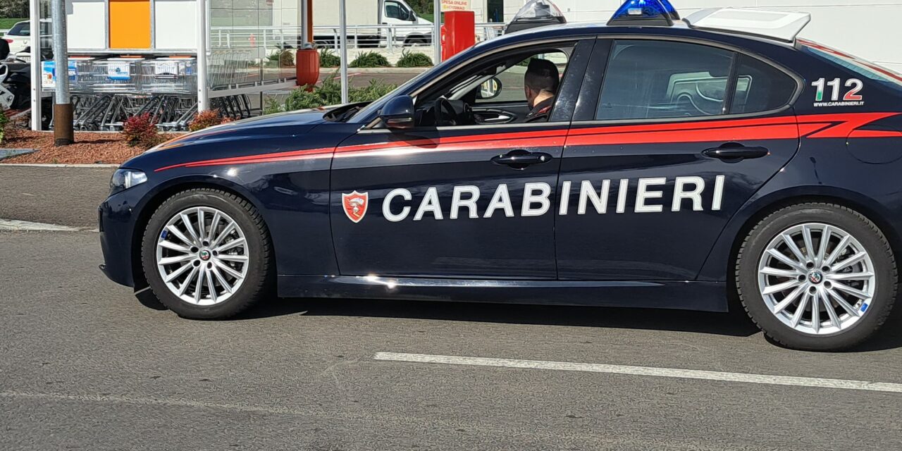 RUBA ALIMENTARI E MINACCIA CARABINIERI, ARRESTATO