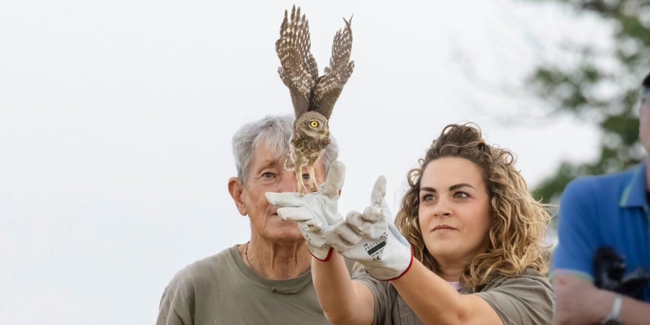 LIBERATI GLI ANIMALI SELVATICI CURATI