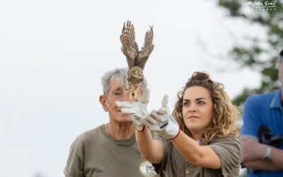 LIBERATI GLI ANIMALI SELVATICI CURATI