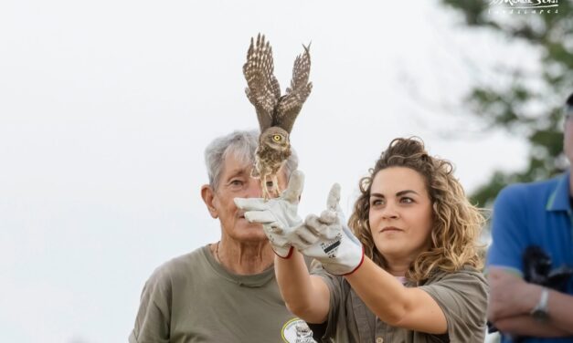 LIBERATI GLI ANIMALI SELVATICI CURATI