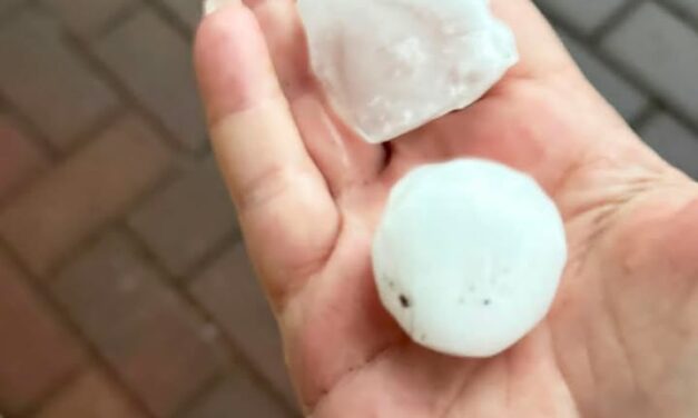 GRANDINE A ROLO E REGGIOLO, CHICCHI COME PALLINE DA PING PONG
