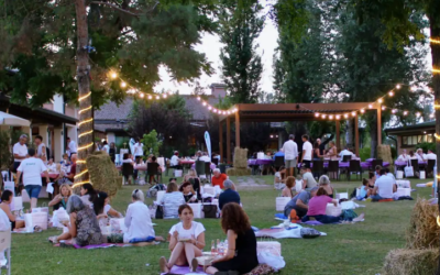 SOLIDARIETA’, TORNA IL CHARITY PICNIC DELLA CROCE VERDE, MERCOLEDI’ 5 AGOSTO