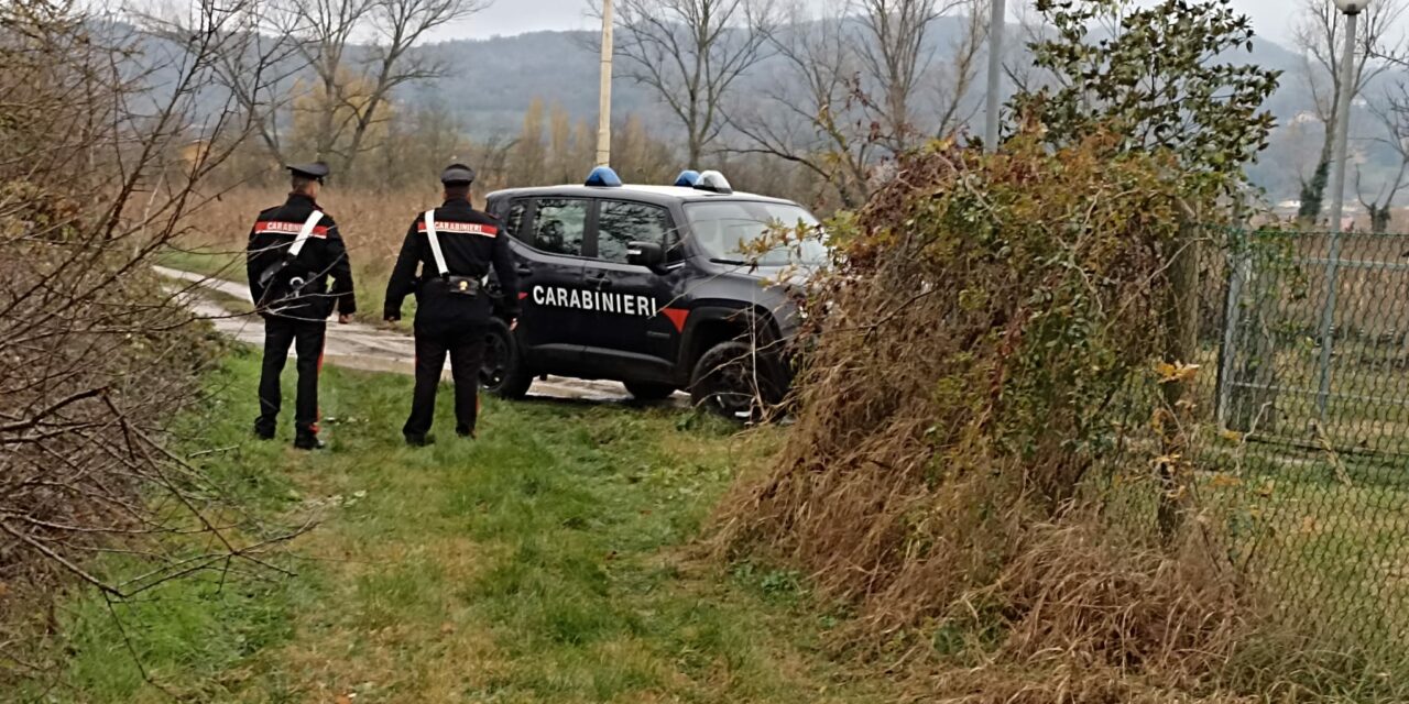 GATTATICO, CONTROLLI IN UN CASOLARE ABBANDONATO, UNA DENUNCIA