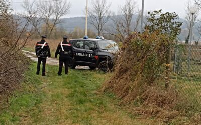 GATTATICO, CONTROLLI IN UN CASOLARE ABBANDONATO, UNA DENUNCIA