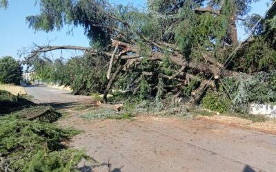 MALTEMPO, LA CONTA DEI DANNI, FAMIGLIE EVACUATE A POVIGLIO E BRESCELLO. DANNI INGENTI IN TUTTA LA PROVINCIA