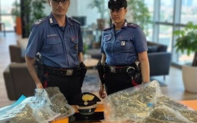 NASCONDEVA CHILI DI DROGA NELLA CASA DELLA MAMMA ALLETTATA, ARRESTATO