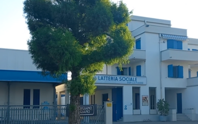 FERITO DA MULETTO, GRAVE 59ENNE