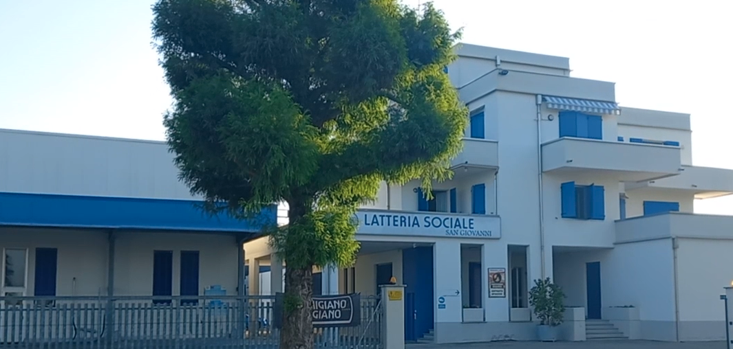 FERITO DA MULETTO, GRAVE 59ENNE