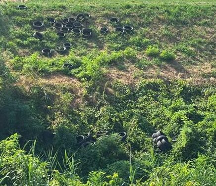 CADELBOSCO, DISCARICA DI PNEUMATICI NEL CROSTOLO