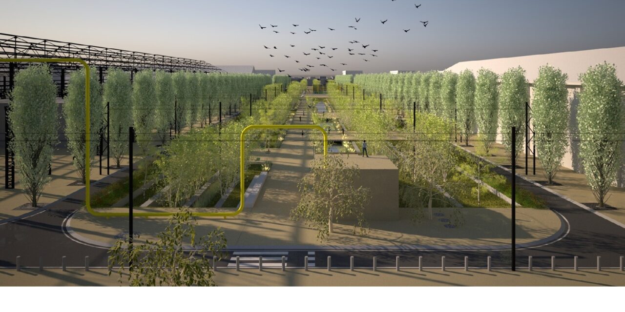 REGGIO AVRA’ LE RAMBLAS ENTRO FINE 2027, VIALI ALBERATI IN ZONA SANTA CROCE/VIALE RAMAZZINI
