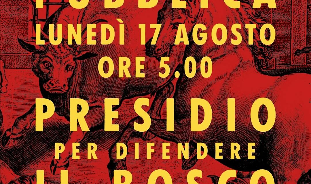 BOSCO URBANO, ‘ SPOSTATO IL PRESIDIO’