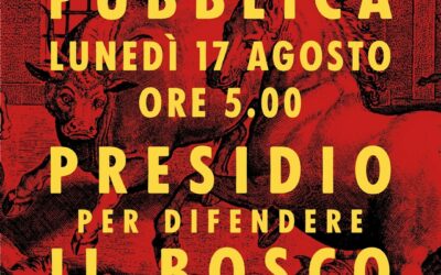 BOSCO URBANO, ‘ SPOSTATO IL PRESIDIO’