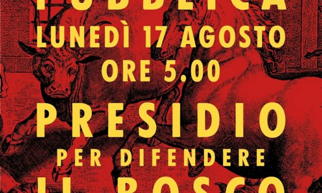 BOSCO URBANO, ‘ SPOSTATO IL PRESIDIO’